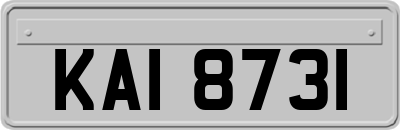 KAI8731