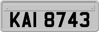 KAI8743