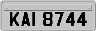 KAI8744