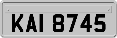 KAI8745