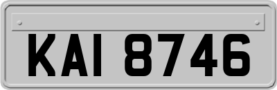 KAI8746