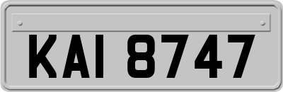 KAI8747