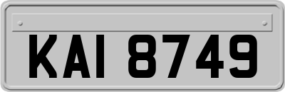 KAI8749