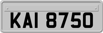 KAI8750