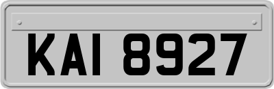 KAI8927
