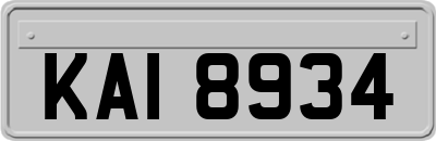 KAI8934