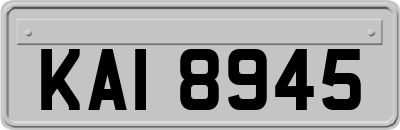 KAI8945