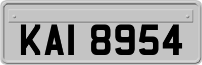KAI8954