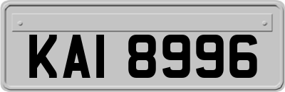 KAI8996