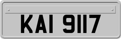 KAI9117