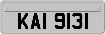 KAI9131