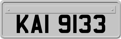 KAI9133