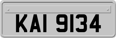 KAI9134