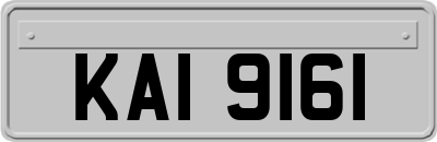 KAI9161