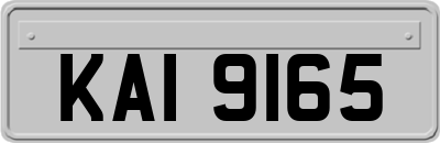 KAI9165