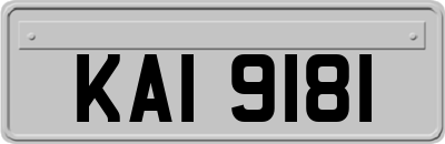KAI9181