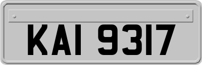 KAI9317