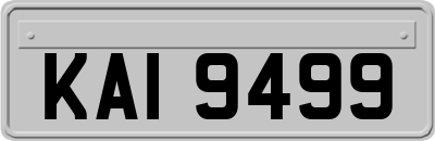 KAI9499