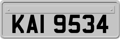 KAI9534