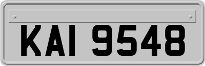 KAI9548