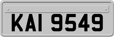 KAI9549