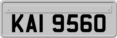 KAI9560