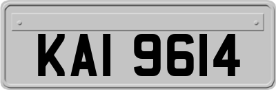 KAI9614
