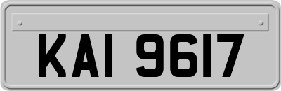 KAI9617