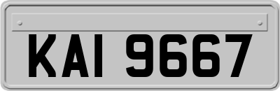 KAI9667