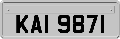 KAI9871