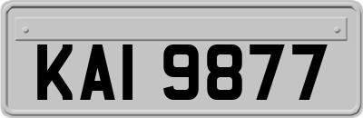 KAI9877