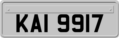 KAI9917