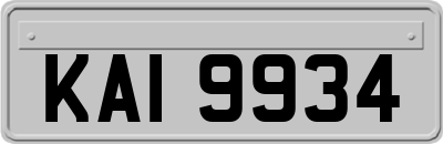 KAI9934
