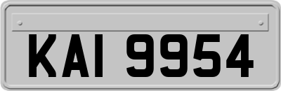 KAI9954
