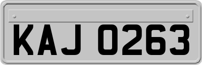 KAJ0263