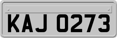 KAJ0273