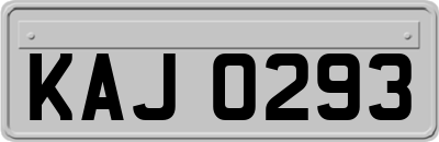 KAJ0293