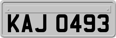 KAJ0493