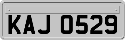 KAJ0529