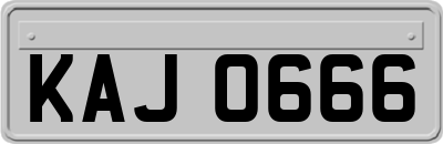 KAJ0666