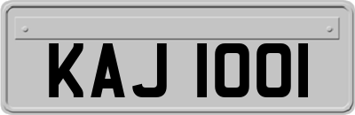 KAJ1001