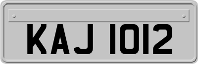 KAJ1012