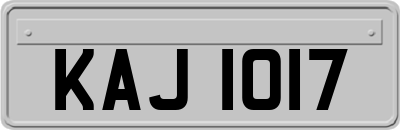 KAJ1017