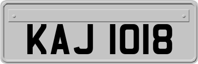 KAJ1018
