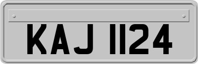 KAJ1124