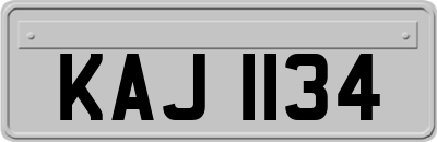 KAJ1134