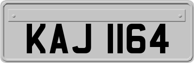 KAJ1164