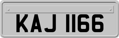 KAJ1166