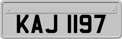 KAJ1197