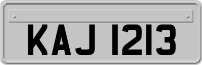 KAJ1213